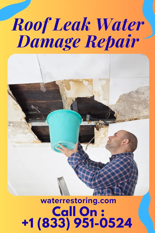 Roof Leak Water Damage Repair in St. Rose, LA